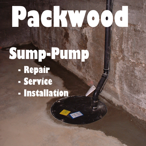 Packwood Sump Pump repair, service, installation