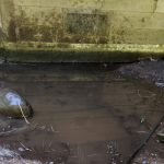 How to stop a wet basement in Seattle