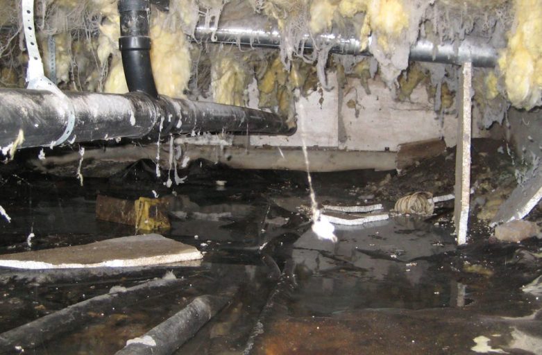 dirty and wet crawl space - know the condition of your crawl space